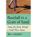 Baseball in a Grain of Sand: Seeing the Game through a Small Town Season