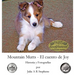 Mountain Mutts - El cuento de Joy