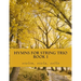 Hymns For String Trio Book I - violin, viola, and cello