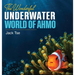 The wonderful underwater world of Ahmo