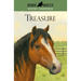Horse Rescue: Treasure