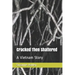 Cracked Then Shattered: A Vietnam Story
