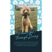 From God, Through Daisy: A Thirty-Day Devotional to Grow Your Awareness of God's Presence in Simple, Everyday Moments
