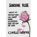 Sunshine Rose: What My Mother Taught Me about Aging, Alzheimer's, and the End of Life