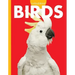 Curious about Birds