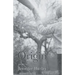 Origin