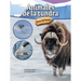Animales de la Tundra: Tundra Animals