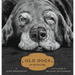 Old Dogs: Are the Best Dogs