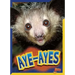 Aye-Ayes