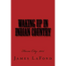 Waking Up in Indian Country: Harm City: 2015