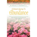 A Woman's Journey To Abundance
