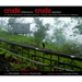 Crude Reflections / Cruda Realidad: Oil, Ruin and Resistance in the Amazon Rainforest