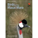 Birds of the Masai Mara