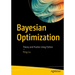 Bayesian Optimization: Theory and Practice Using Python