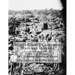 Trinity County, California Mines and Minerals: California Register of Mines and Minerals
