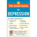 The Small Guide to Depression