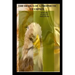Prophetic Etiquette Manual - The Design of a Prophetic Champion: How to Destroy Error in the Prophetic Office