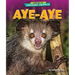Aye-Aye