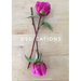 Dedications