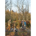 Living with Trees: A Common Ground Handbook