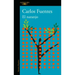 El Naranjo / The Orange Tree