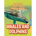 Whales & Dolphins