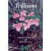 Trilliums