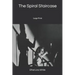 The Spiral Staircase: Large Print