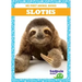 Sloths