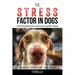 The Stress Factor in Dogs: Unlocking Resiliency and Enhancing Well-Being