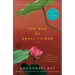 The God of Small Things