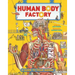 The Human Body Factory: A Guide to Your Insides