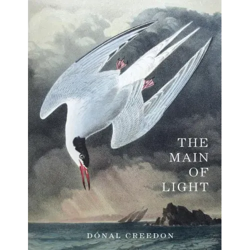 The Main Of Light: Common Ground and Dividing Lines in the Teachings of Jiddu Krishnamurti and Buddhism