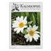 Kalmiopsis Volume 24