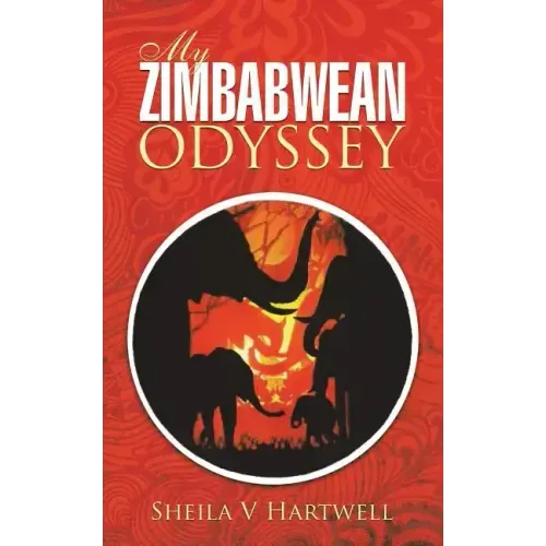 My Zimbabwean Odyssey