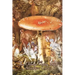 The Orange Fairy Book by Andrew Lang, Fiction, Fairy Tales, Folk Tales, Legends & Mythology