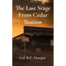 The Last Stage From Cedar Station