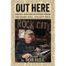 Out Here: Essays And Encounters From The Heart, Soul, And Left Field