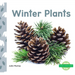 Winter Plants