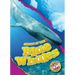 Blue Whales