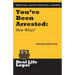 You've Been Arrested: Now What?