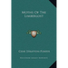 Moths Of The Limberlost