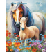 Horses Coloring Book