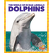 Dolphins