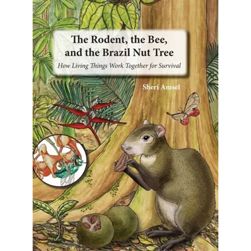 The Rodent, the Bee, and the Brazil Nut Tree: How Living Things Work Together for Survival