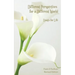 Different Perspectives for a Different World: Essays for Life - Revised Edition