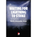 Waiting for Lightning to Strike: The Fundamentals of Black Politics