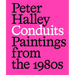 Peter Halley: Conduits: Paintings from the 1980s