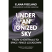 Under an Ionized Sky: From Chemtrails to Space Fence Lockdown