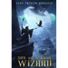 Son of a Dark Wizard